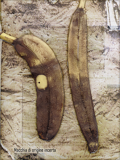 banana-fossile-p